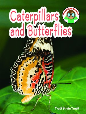 cover image of Caterpillars and Butterflies